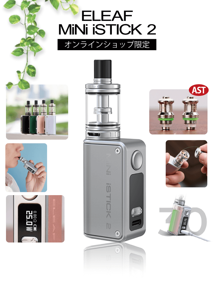 オンラインショップ限定 MINI iSTICK