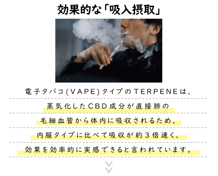 効果的な「吸入摂取」電子タバコ(VAPE)タイプのTERPENEは、蒸気化したCBD成分が直接肺の毛細血管から体内に吸収されるため、内服タイプに比べて吸収が約3倍速く、効果を効率的に実感できると言われています。